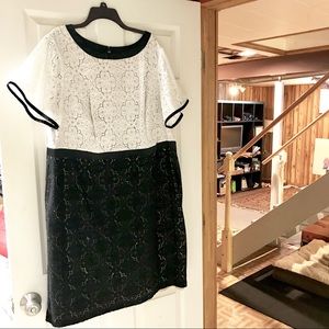Pretty Adrianna Papell black and white lace dress